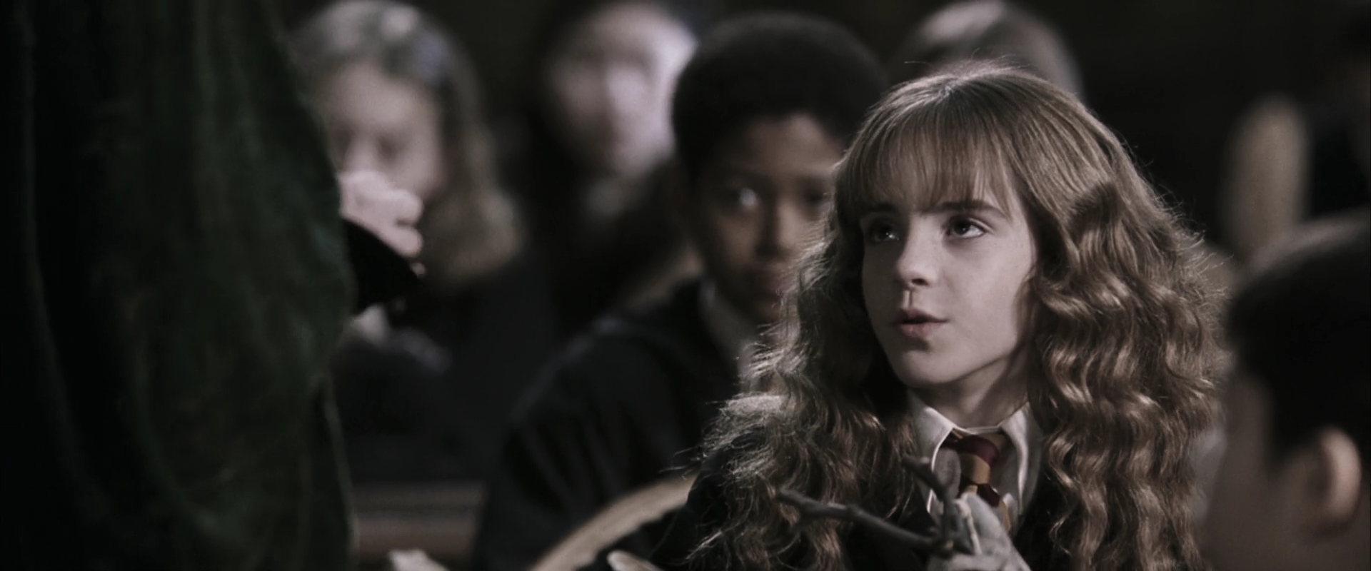EmmaWatsonFan-dot-nl_HarryPotterandtheChamberOfSecrets1954.jpg