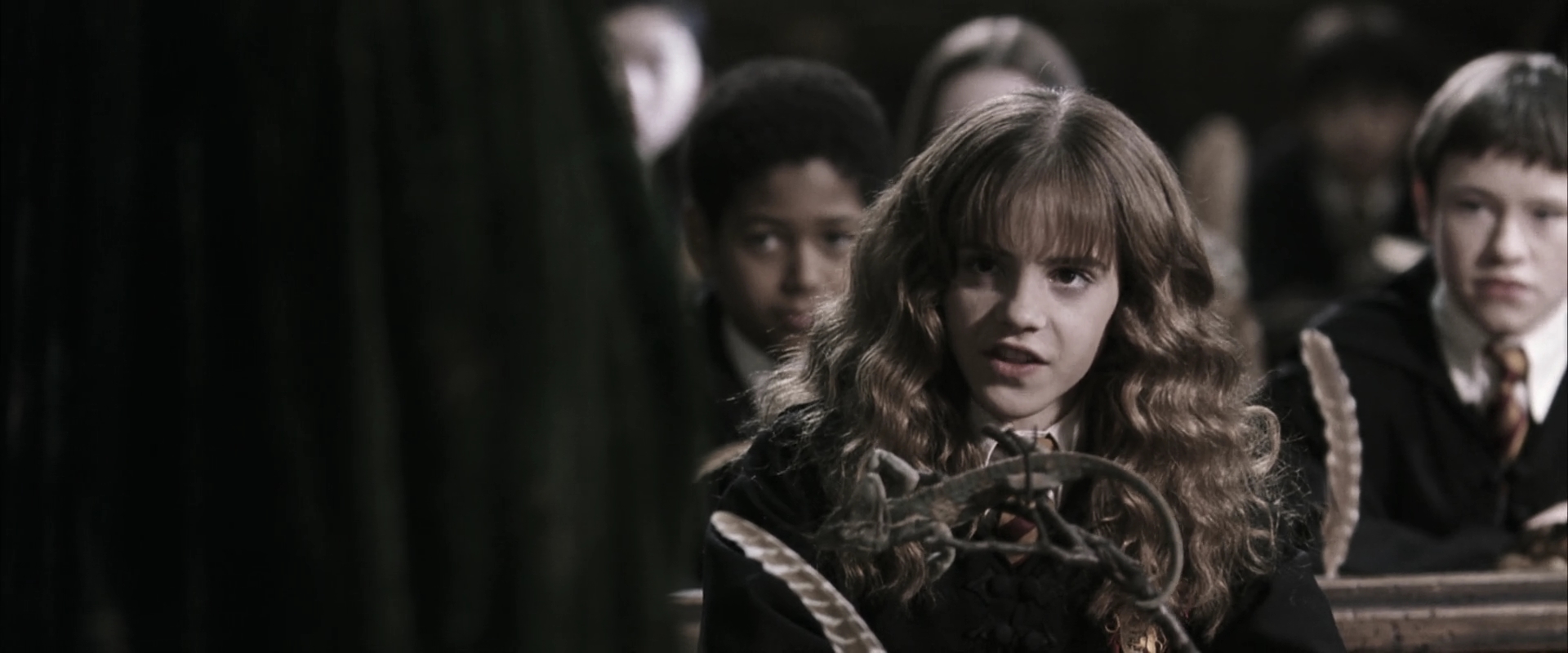 EmmaWatsonFan-dot-nl_HarryPotterandtheChamberOfSecrets1968.jpg