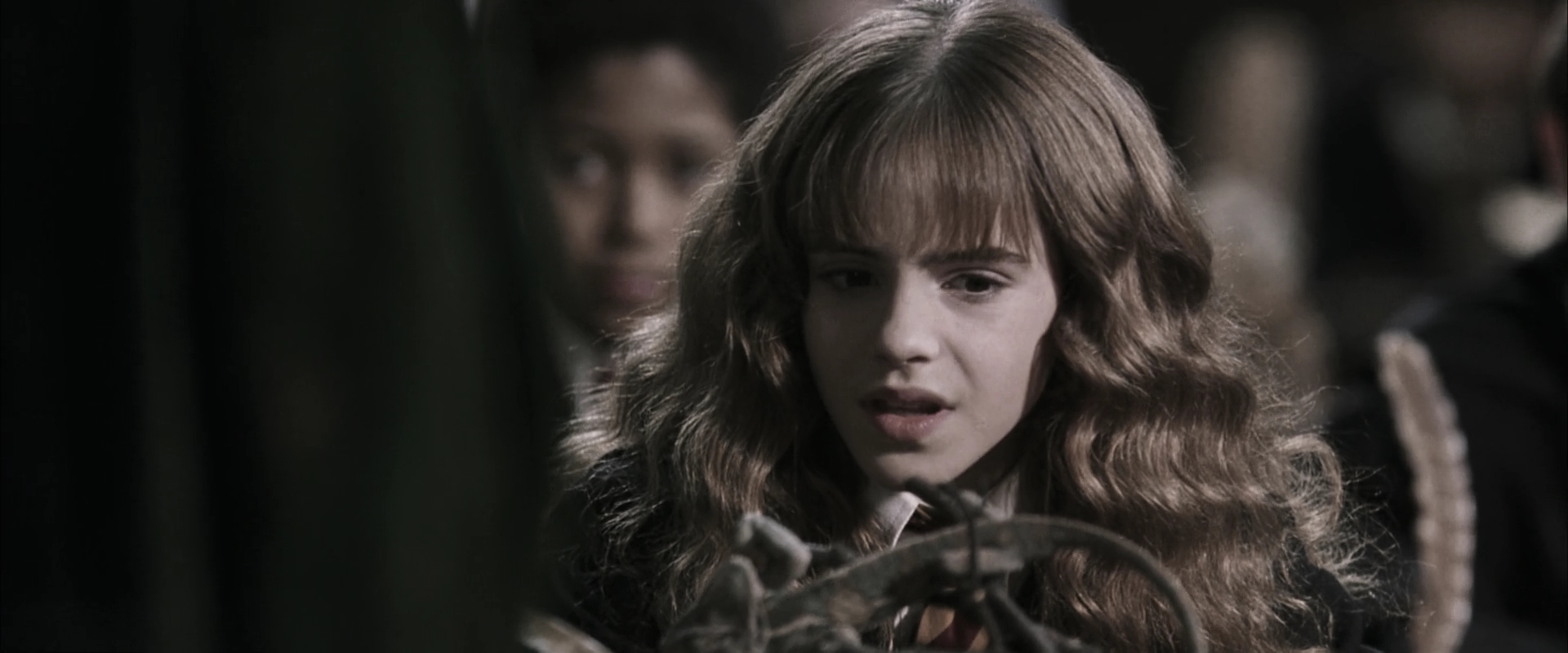 EmmaWatsonFan-dot-nl_HarryPotterandtheChamberOfSecrets1983.jpg