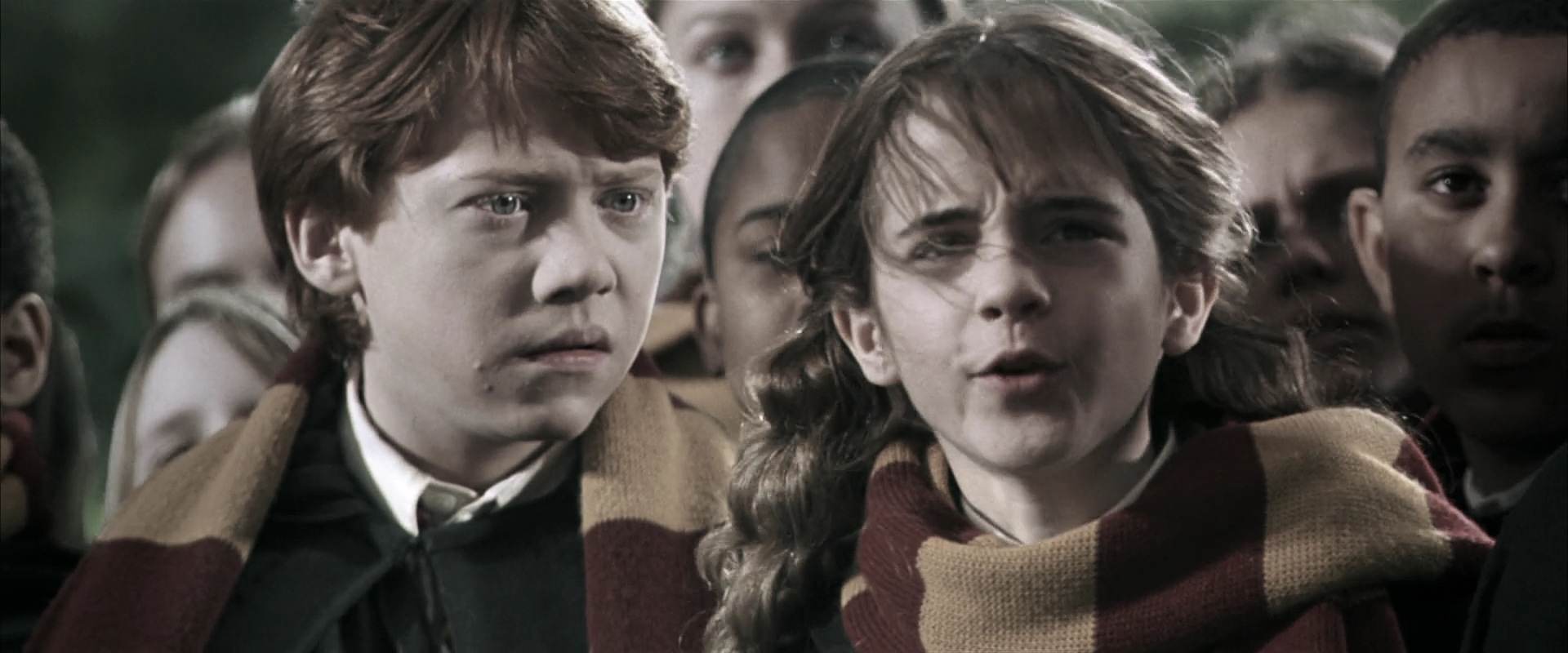 EmmaWatsonFan-dot-nl_HarryPotterandtheChamberOfSecrets2202.jpg