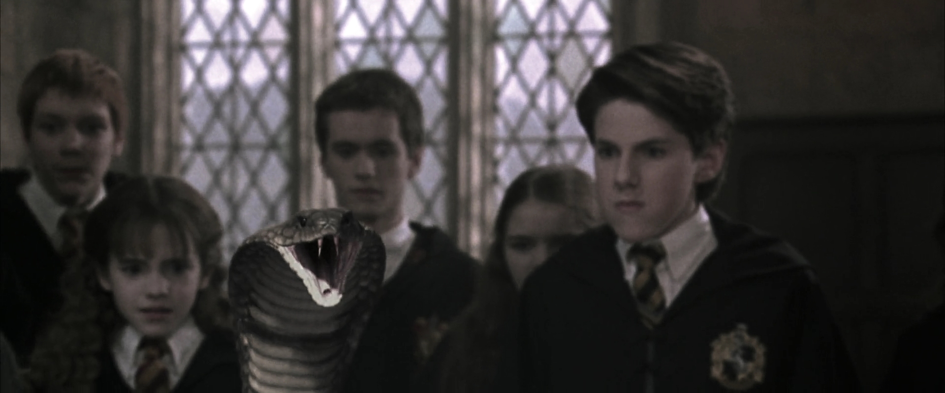 EmmaWatsonFan-dot-nl_HarryPotterandtheChamberOfSecrets2973.jpg EmmaWatsonFan-dot-nl_HarryPotterandtheChamberOfSecrets2973.jpg