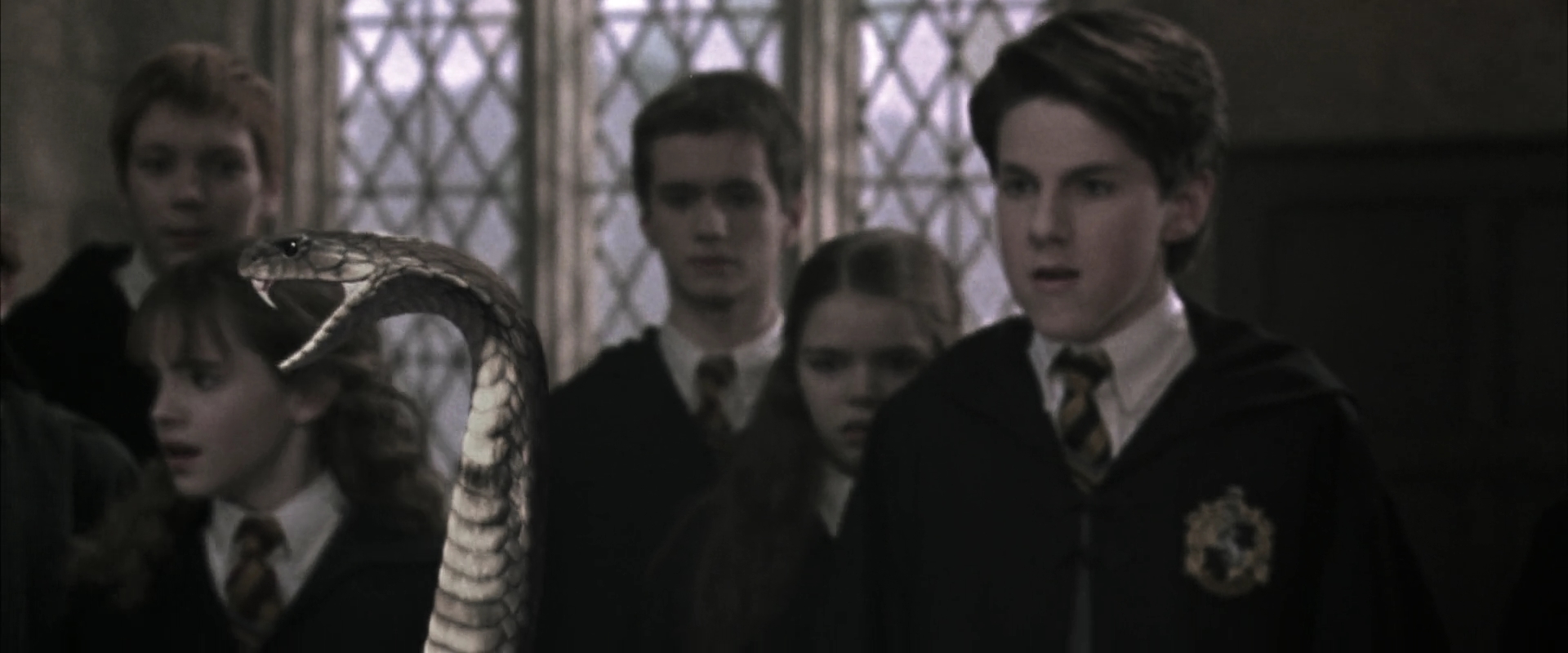 EmmaWatsonFan-dot-nl_HarryPotterandtheChamberOfSecrets2974.jpg