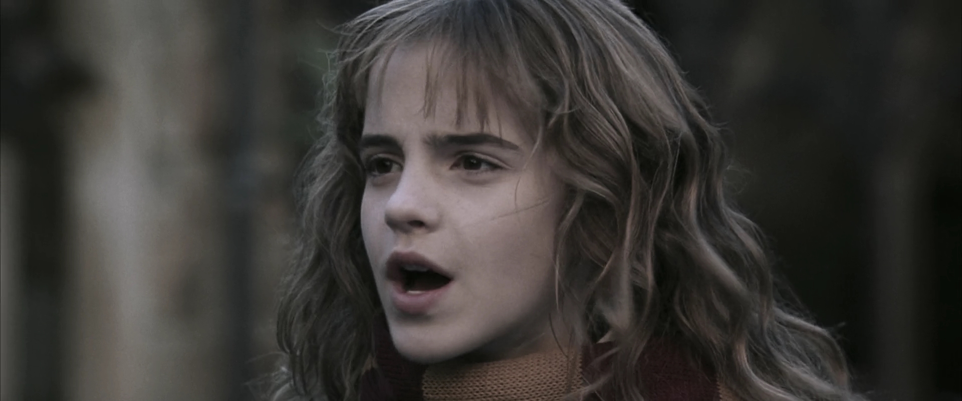 EmmaWatsonFan-dot-nl_HarryPotterandtheChamberOfSecrets4460.jpg
