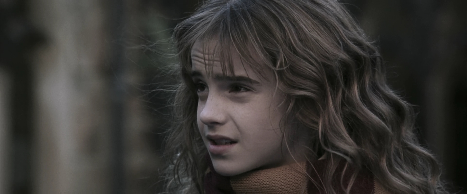 EmmaWatsonFan-dot-nl_HarryPotterandtheChamberOfSecrets4461.jpg