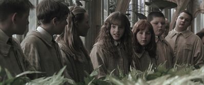 EmmaWatsonFan-dot-nl_HarryPotterandtheChamberOfSecrets0851.jpg