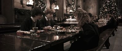 EmmaWatsonFan-dot-nl_HarryPotterandtheChamberOfSecrets3529.jpg