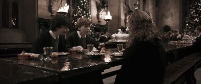 EmmaWatsonFan-dot-nl_HarryPotterandtheChamberOfSecrets3530.jpg