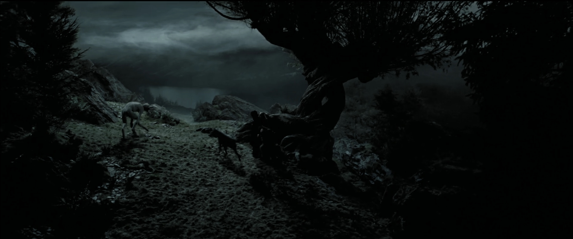 EmmaWatsonFan_dot_nl-HarryPotterAndThePrisonerOfAzkaban4981.jpg EmmaWatsonFan_dot_nl-HarryPotterAndThePrisonerOfAzkaban4981.jpg