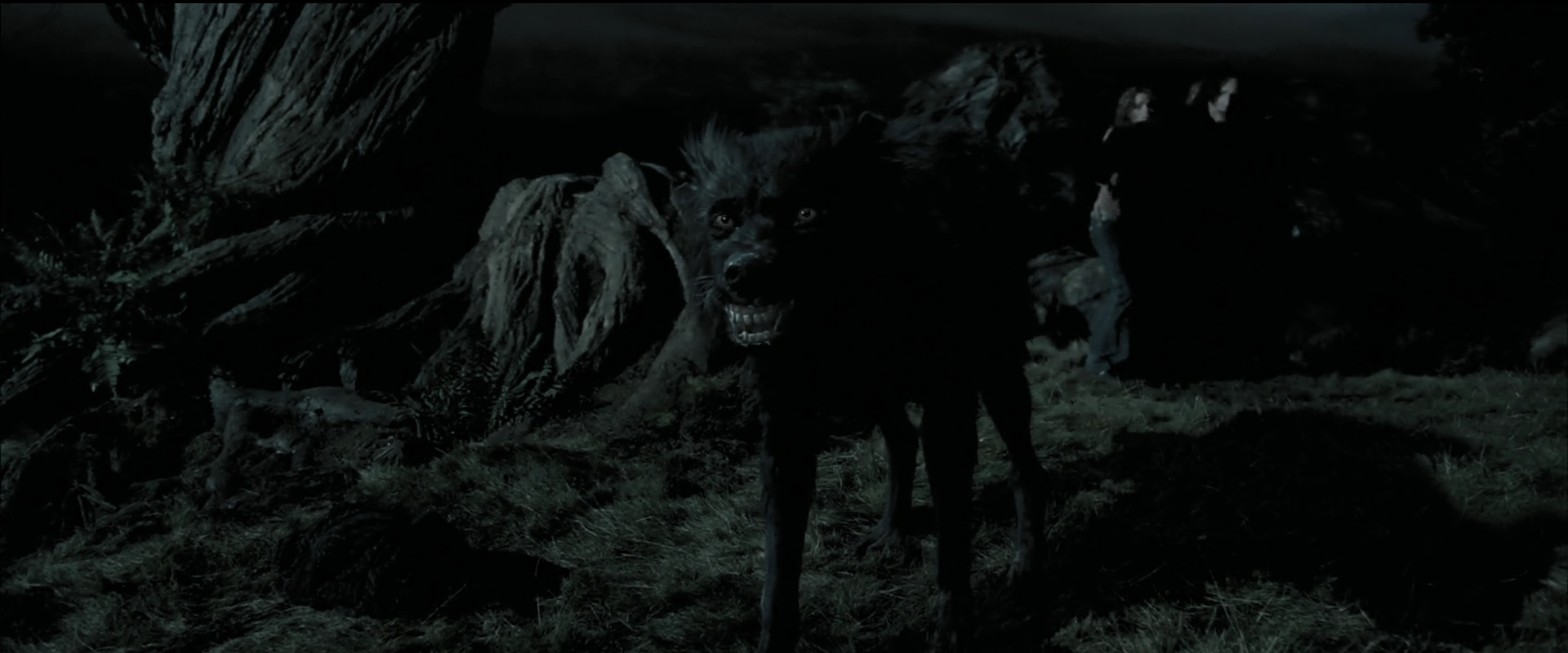 EmmaWatsonFan_dot_nl-HarryPotterAndThePrisonerOfAzkaban4983.jpg EmmaWatsonFan_dot_nl-HarryPotterAndThePrisonerOfAzkaban4983.jpg