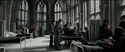 EmmaWatsonFan_dot_nl-HarryPotterAndThePrisonerOfAzkaban2409.jpg