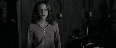 EmmaWatsonFan_dot_nl-HarryPotterAndThePrisonerOfAzkaban4023.jpg