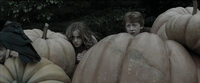 EmmaWatsonFan_dot_nl-HarryPotterAndThePrisonerOfAzkaban4126.jpg