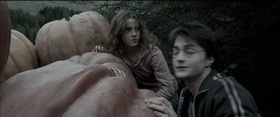 EmmaWatsonFan_dot_nl-HarryPotterAndThePrisonerOfAzkaban5532.jpg