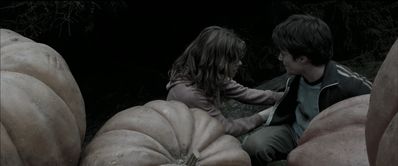 EmmaWatsonFan_dot_nl-HarryPotterAndThePrisonerOfAzkaban5550.jpg