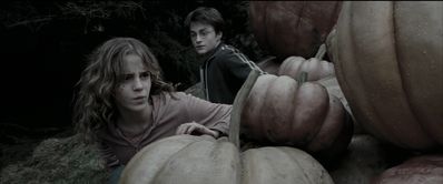 EmmaWatsonFan_dot_nl-HarryPotterAndThePrisonerOfAzkaban5575.jpg