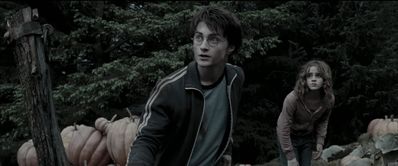 EmmaWatsonFan_dot_nl-HarryPotterAndThePrisonerOfAzkaban5704.jpg