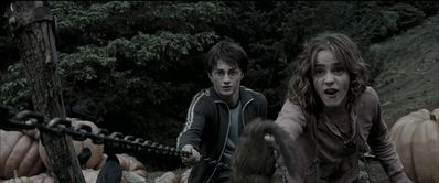 EmmaWatsonFan_dot_nl-HarryPotterAndThePrisonerOfAzkaban5734.jpg