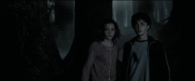 EmmaWatsonFan_dot_nl-HarryPotterAndThePrisonerOfAzkaban5861.jpg