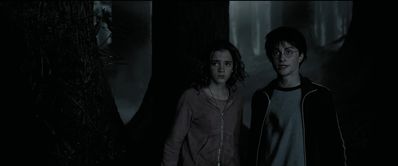 EmmaWatsonFan_dot_nl-HarryPotterAndThePrisonerOfAzkaban5862.jpg