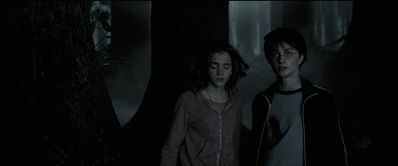 EmmaWatsonFan_dot_nl-HarryPotterAndThePrisonerOfAzkaban5863.jpg