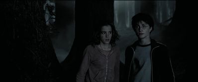 EmmaWatsonFan_dot_nl-HarryPotterAndThePrisonerOfAzkaban5864.jpg