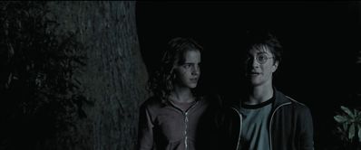 EmmaWatsonFan_dot_nl-HarryPotterAndThePrisonerOfAzkaban5954.jpg