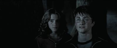 EmmaWatsonFan_dot_nl-HarryPotterAndThePrisonerOfAzkaban5961.jpg