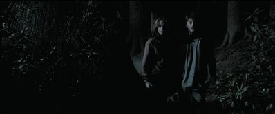 EmmaWatsonFan_dot_nl-HarryPotterAndThePrisonerOfAzkaban5971.jpg