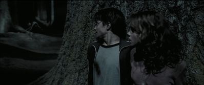 EmmaWatsonFan_dot_nl-HarryPotterAndThePrisonerOfAzkaban6030.jpg