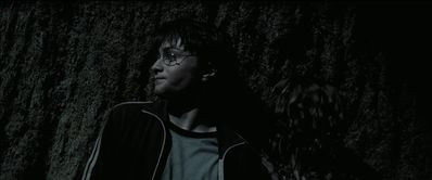 EmmaWatsonFan_dot_nl-HarryPotterAndThePrisonerOfAzkaban6043.jpg