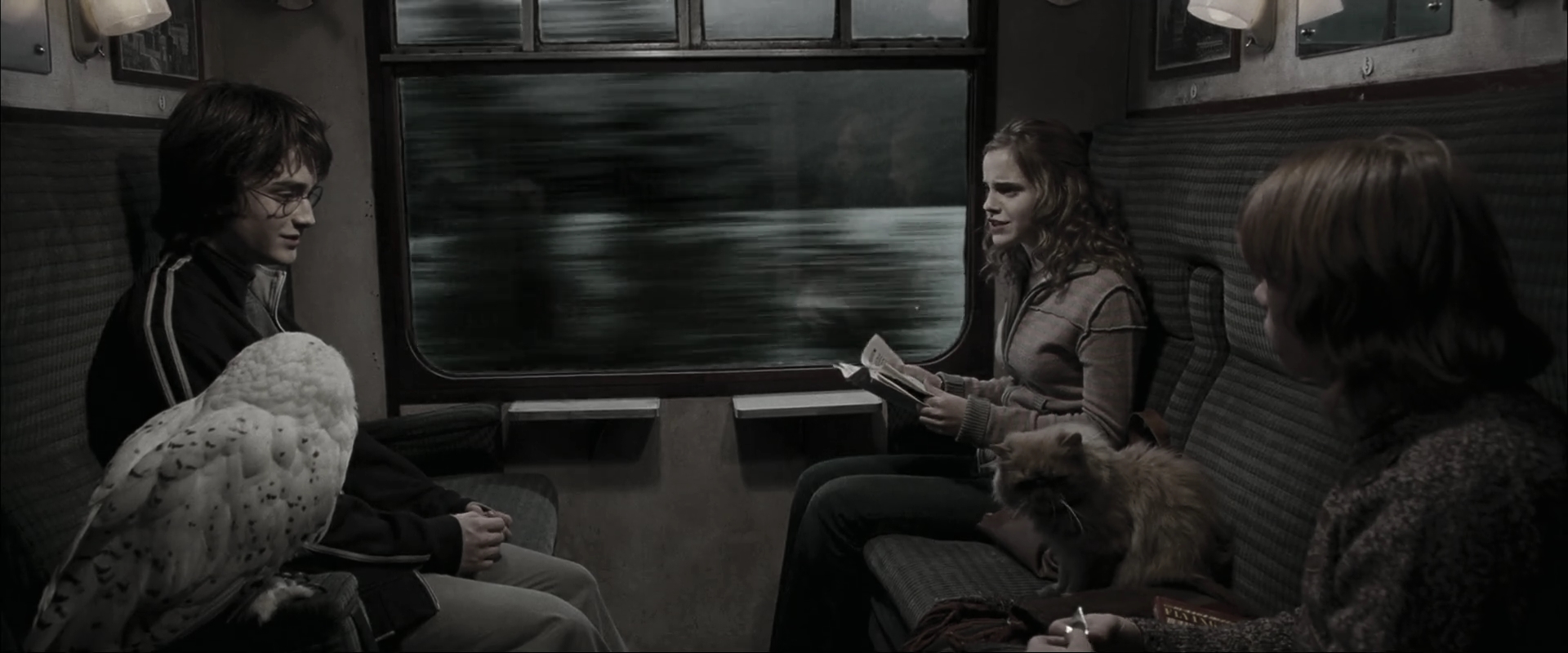 EmmaWatsonFan_dot_nl-HarryPotterAndTheGobletOfFire0833.jpg EmmaWatsonFan_dot_nl-HarryPotterAndTheGobletOfFire0833.jpg