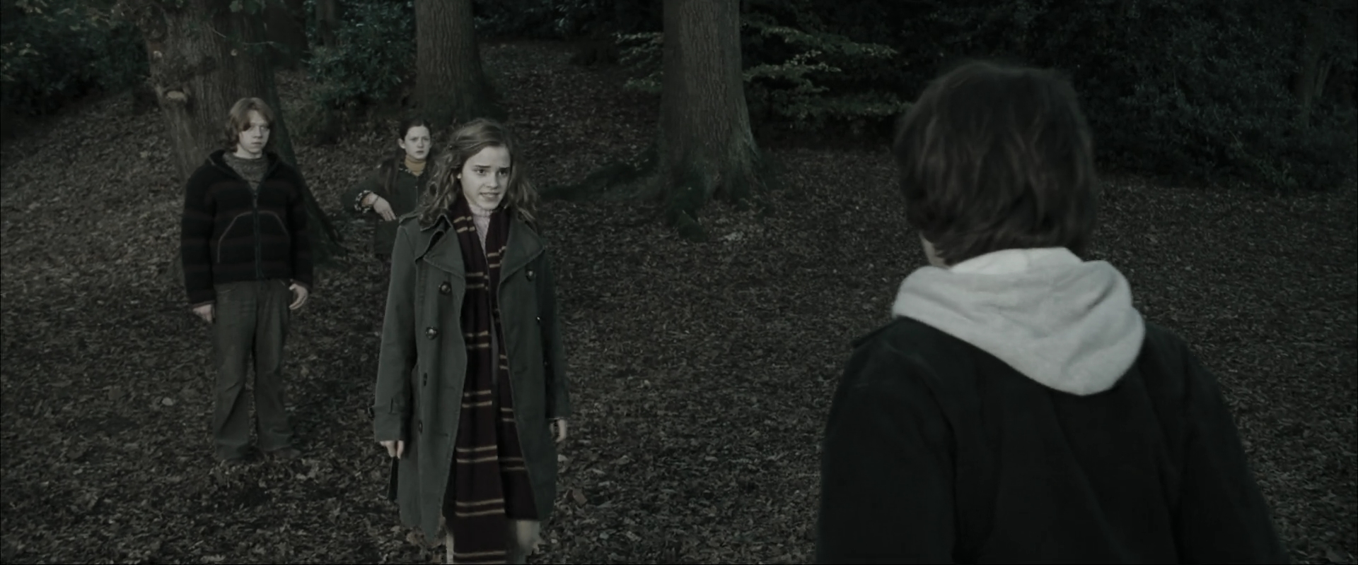 EmmaWatsonFan_dot_nl-HarryPotterAndTheGobletOfFire2670.jpg EmmaWatsonFan_dot_nl-HarryPotterAndTheGobletOfFire2670.jpg