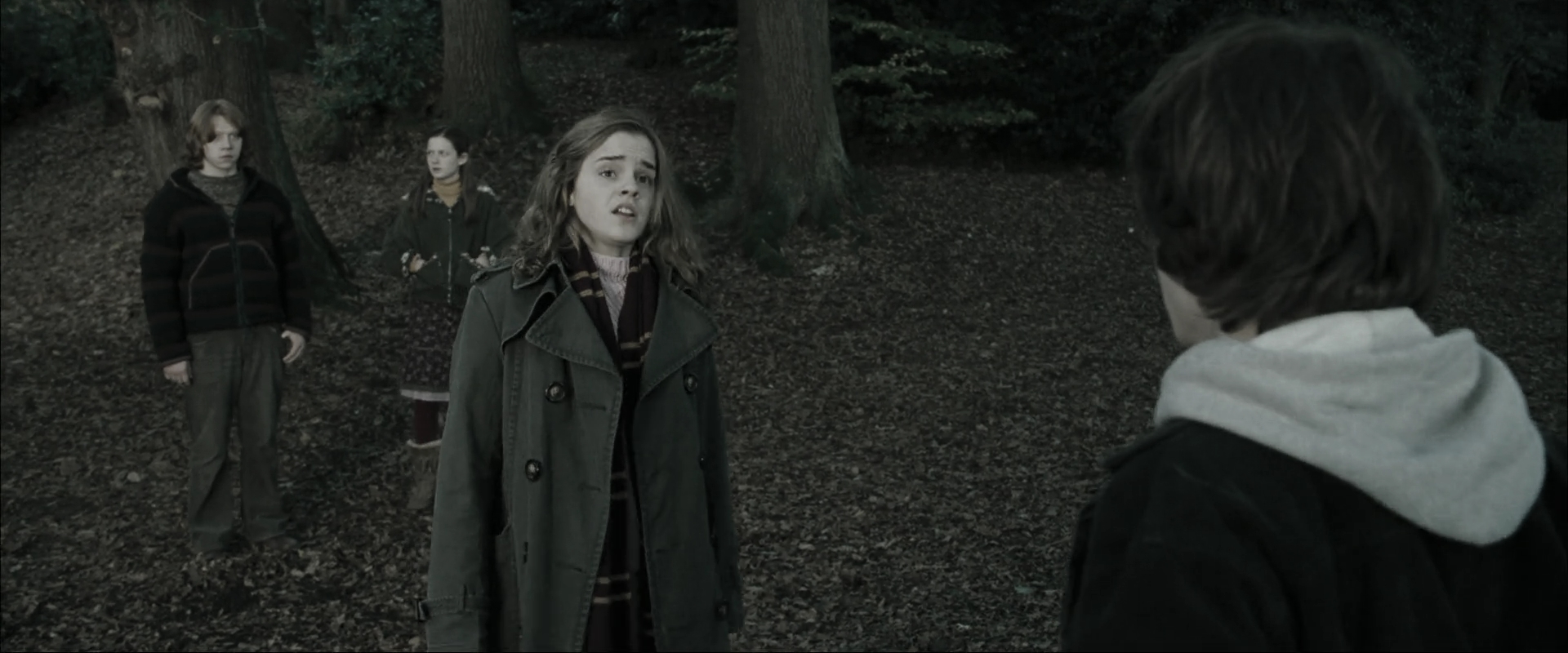 EmmaWatsonFan_dot_nl-HarryPotterAndTheGobletOfFire2671.jpg EmmaWatsonFan_dot_nl-HarryPotterAndTheGobletOfFire2671.jpg