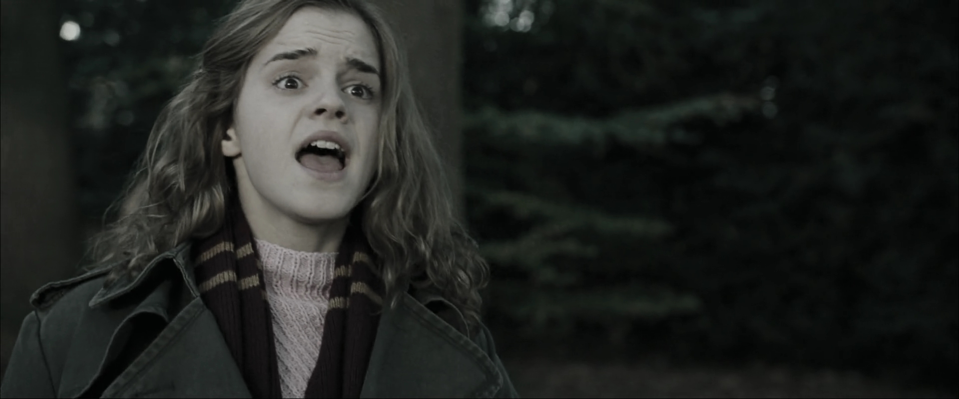 EmmaWatsonFan_dot_nl-HarryPotterAndTheGobletOfFire2676.jpg EmmaWatsonFan_dot_nl-HarryPotterAndTheGobletOfFire2676.jpg