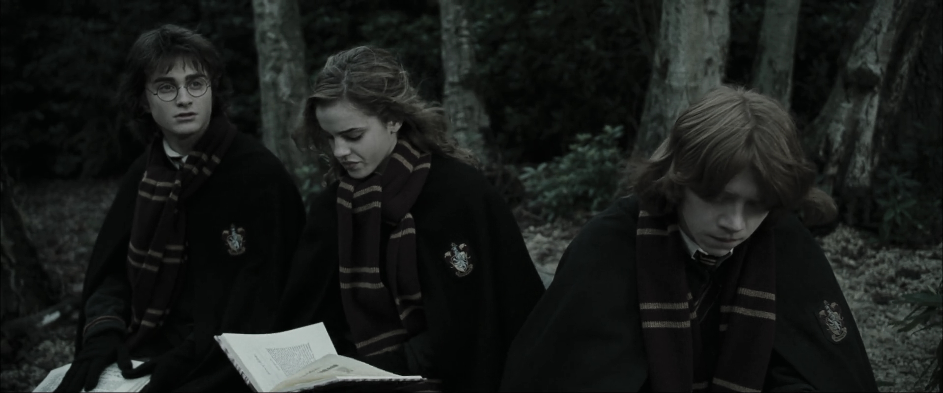 EmmaWatsonFan_dot_nl-HarryPotterAndTheGobletOfFire4080.jpg