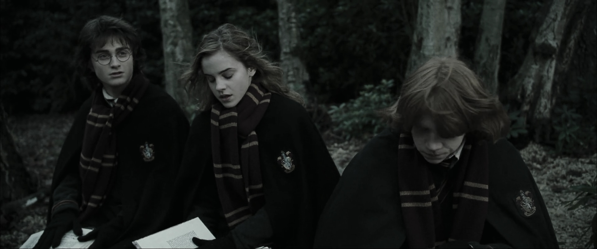 EmmaWatsonFan_dot_nl-HarryPotterAndTheGobletOfFire4082.jpg EmmaWatsonFan_dot_nl-HarryPotterAndTheGobletOfFire4082.jpg