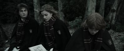 EmmaWatsonFan_dot_nl-HarryPotterAndTheGobletOfFire4083.jpg