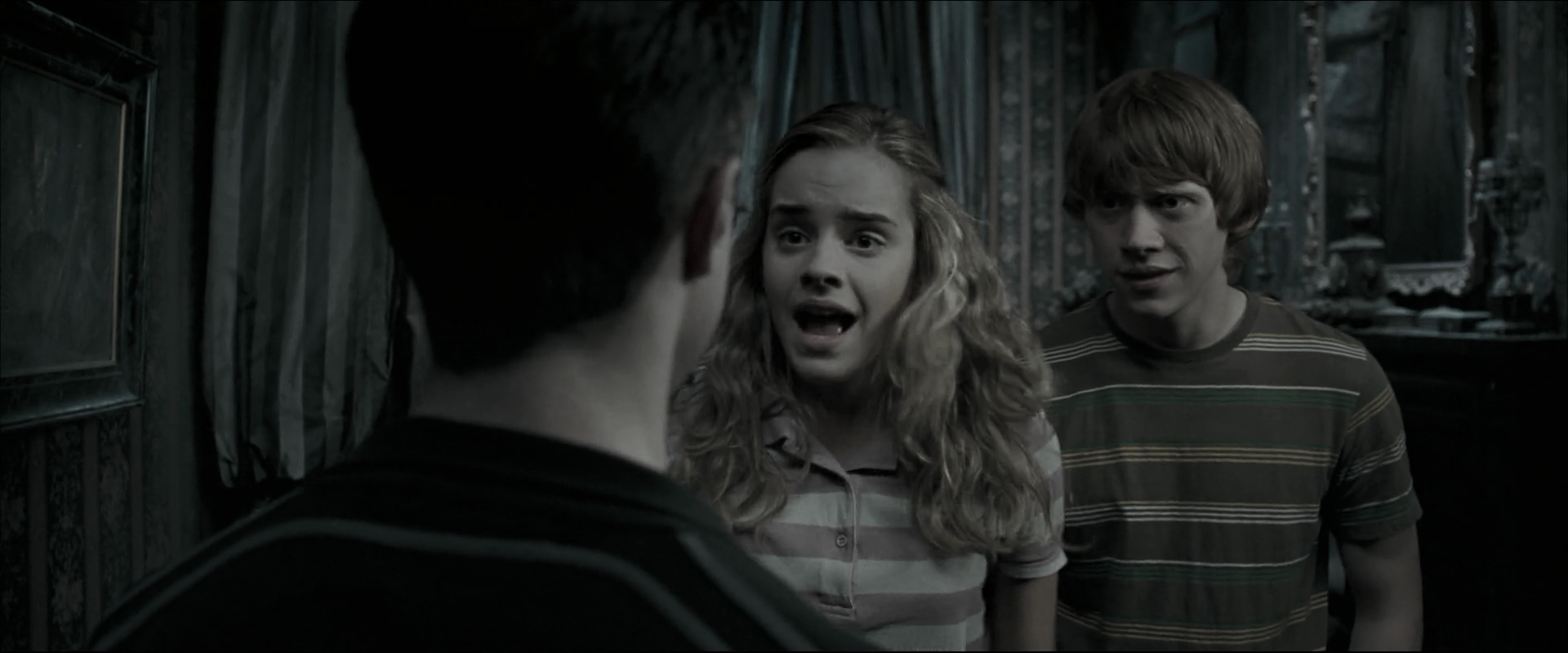 EmmaWatsonFan_dot_nl-HarryPotterAndTheOrderOfThePhoenix0759.jpg
