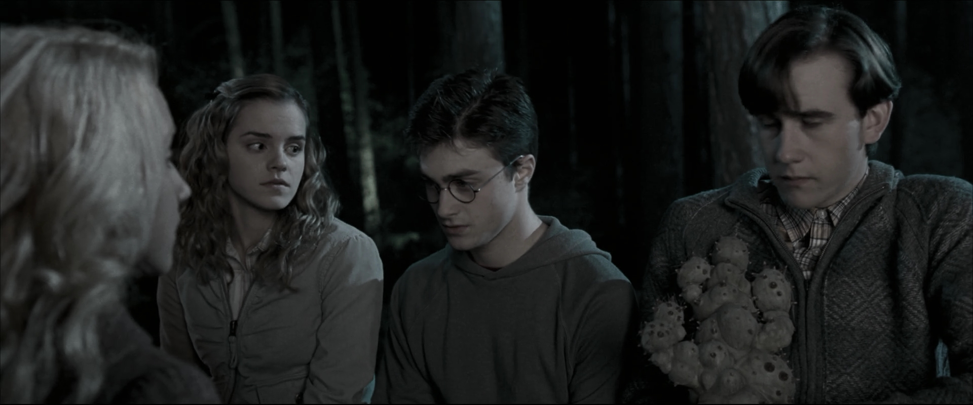 EmmaWatsonFan_dot_nl-HarryPotterAndTheOrderOfThePhoenix1736.jpg