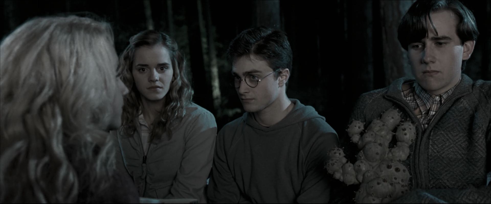 EmmaWatsonFan_dot_nl-HarryPotterAndTheOrderOfThePhoenix1754.jpg