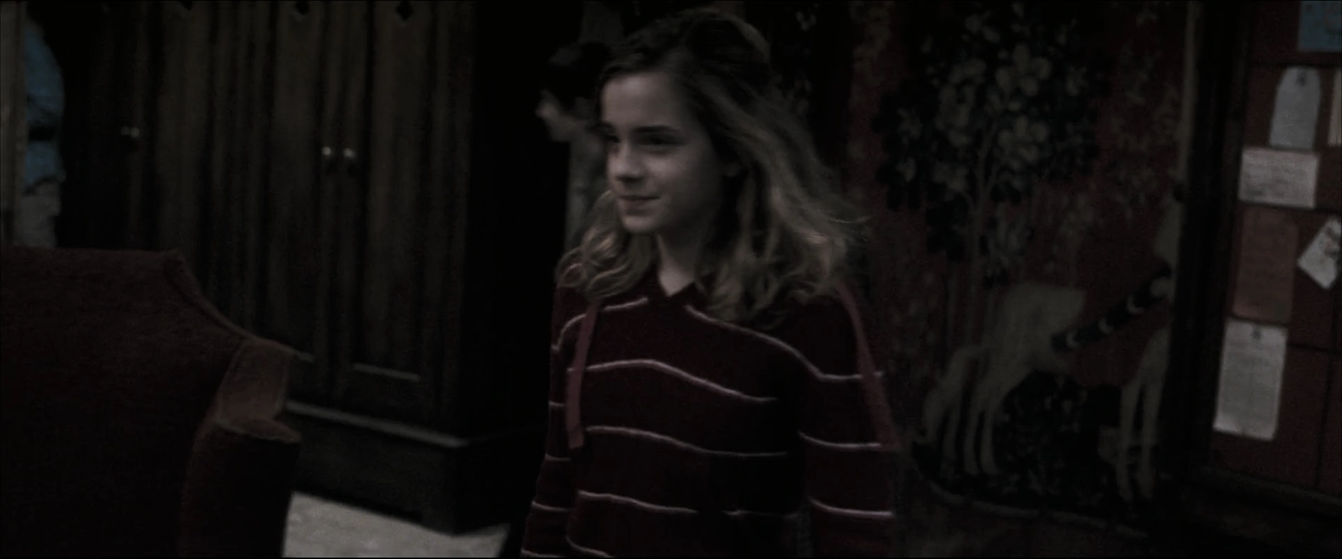 EmmaWatsonFan_dot_nl-HarryPotterAndTheOrderOfThePhoenix2372.jpg