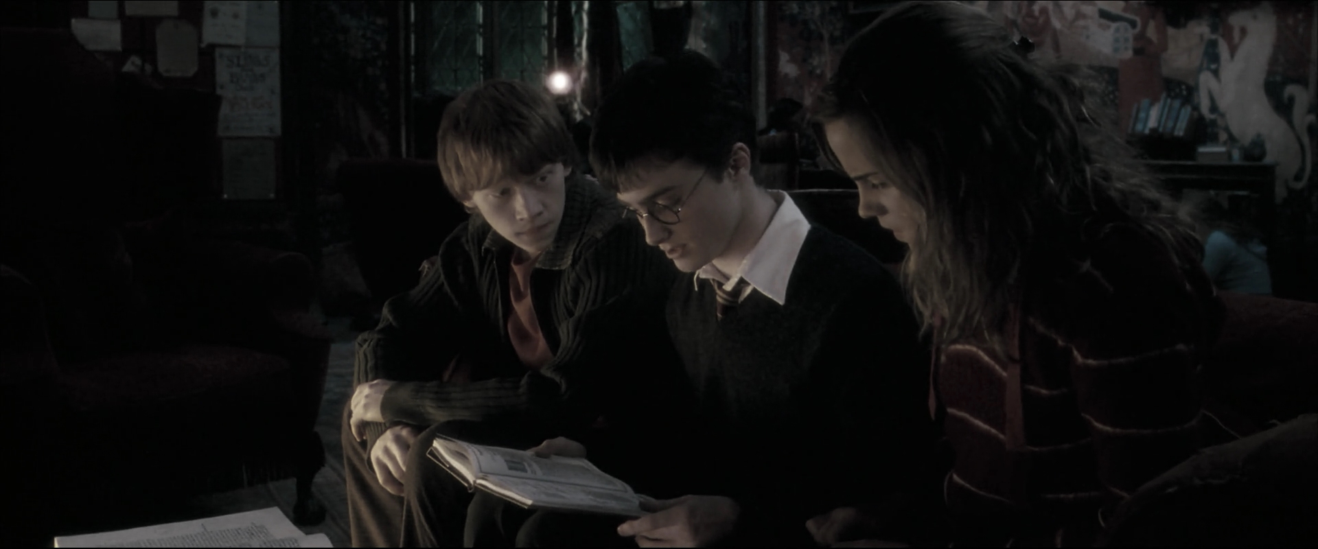 EmmaWatsonFan_dot_nl-HarryPotterAndTheOrderOfThePhoenix2397.jpg