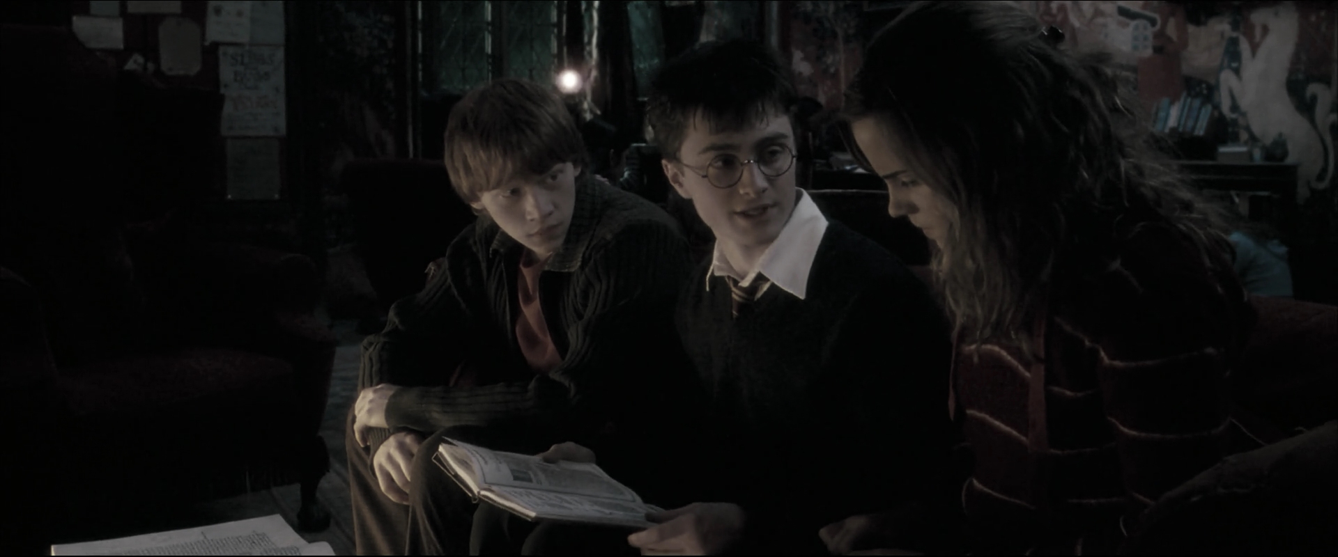 EmmaWatsonFan_dot_nl-HarryPotterAndTheOrderOfThePhoenix2398.jpg