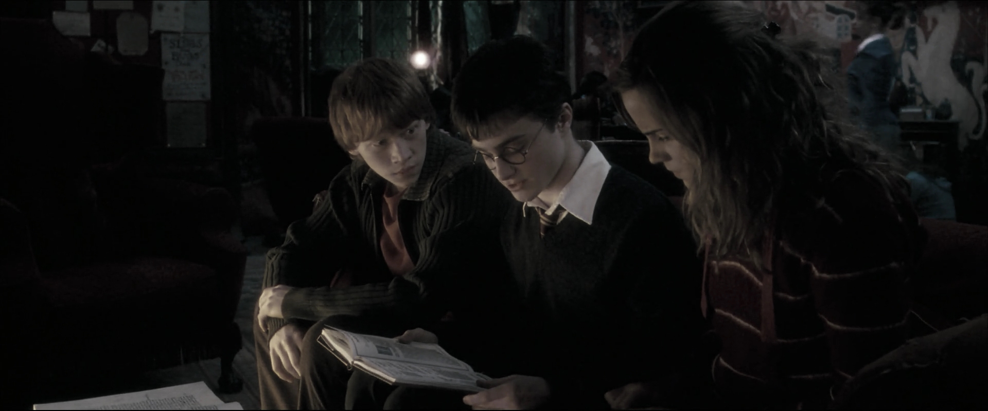 EmmaWatsonFan_dot_nl-HarryPotterAndTheOrderOfThePhoenix2399.jpg