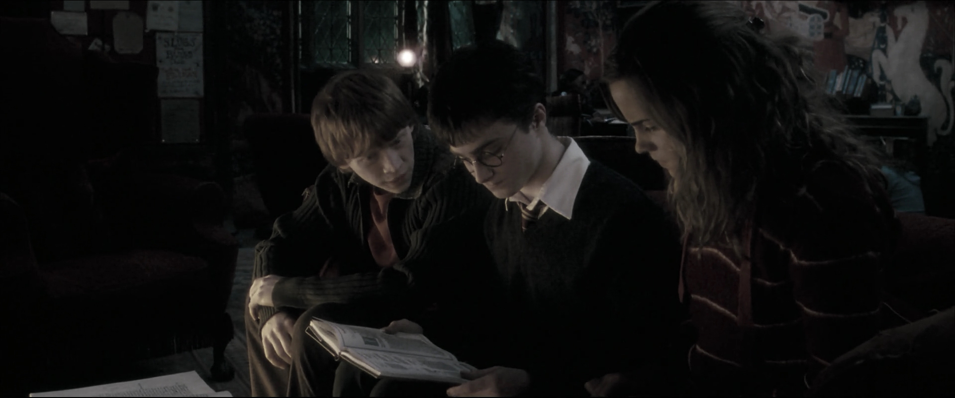 EmmaWatsonFan_dot_nl-HarryPotterAndTheOrderOfThePhoenix2400.jpg