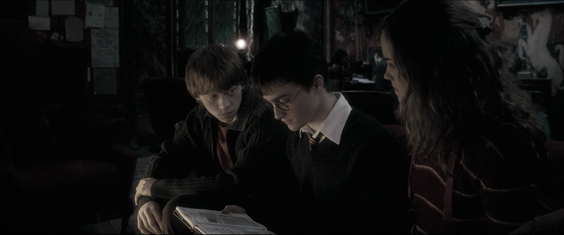 EmmaWatsonFan_dot_nl-HarryPotterAndTheOrderOfThePhoenix2411.jpg