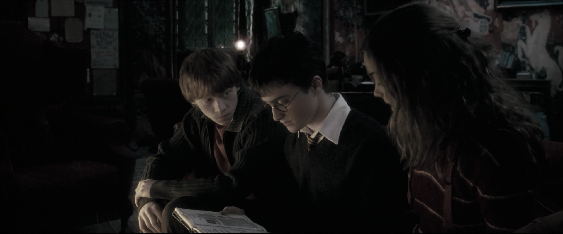 EmmaWatsonFan_dot_nl-HarryPotterAndTheOrderOfThePhoenix2412.jpg
