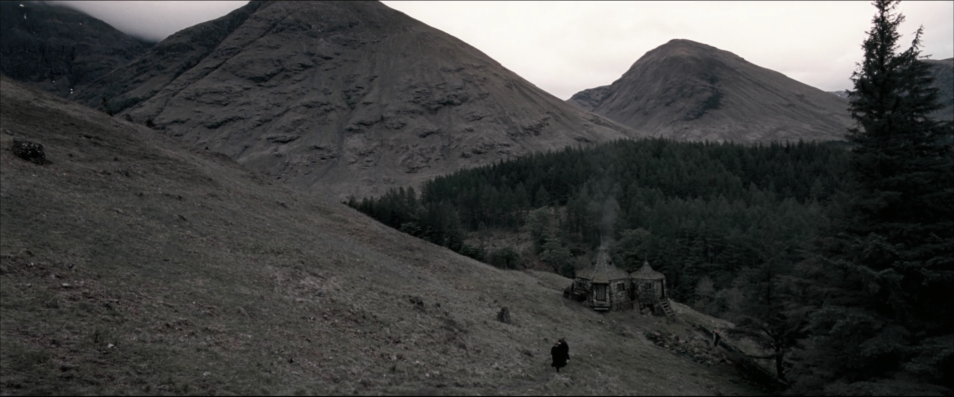 EmmaWatsonFan_dot_nl-HarryPotterAndTheOrderOfThePhoenix4492.jpg