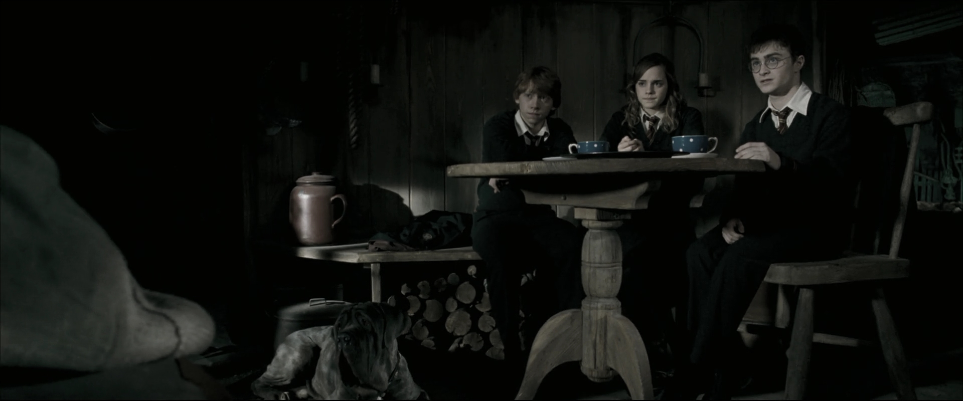 EmmaWatsonFan_dot_nl-HarryPotterAndTheOrderOfThePhoenix4541.jpg