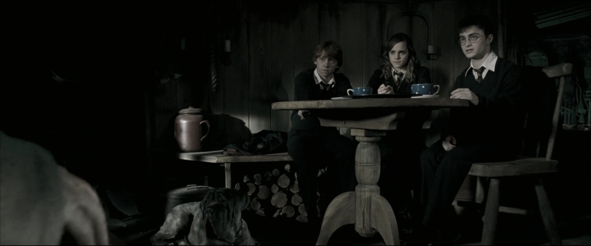 EmmaWatsonFan_dot_nl-HarryPotterAndTheOrderOfThePhoenix4542.jpg